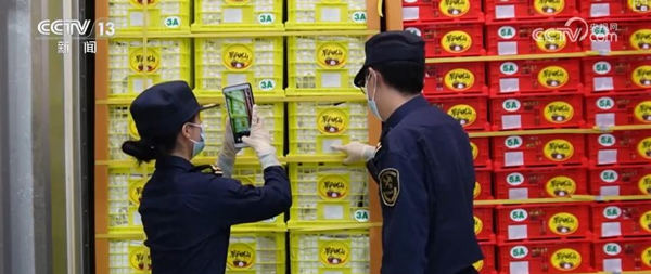 东盟农产品进口新引擎：Winseeing汇信ERP如何破解全流程管理痛点？2.jpg