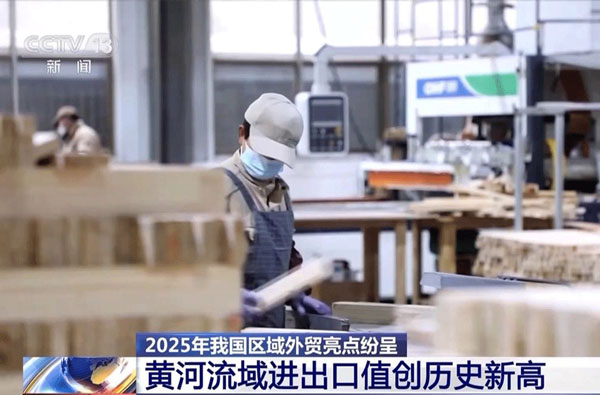 /uploads/images/2026/01/28/05f98c1209bb122e6778e4374dbb11b6.jpg 从“过路财”到“聚宝盆”:外贸ERP助力木材进口全流程精细化管理1.jpg